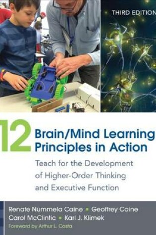 Cover of 12 Brain/Mind Learning Principles in Action