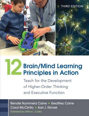 Book cover for 12 Brain/Mind Learning Principles in Action