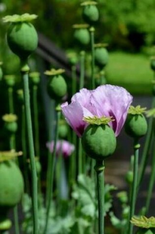 Cover of Single Poppy Bloom in a Field Journal