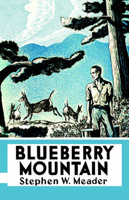 Book cover for Blueberry Mountain