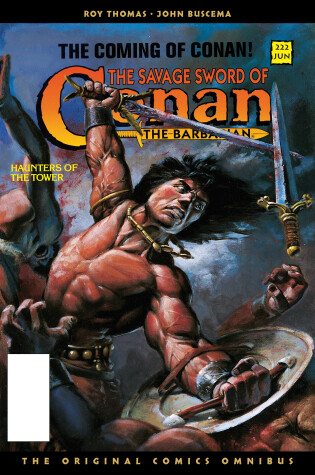 Cover of The Savage Sword of Conan: The Original Comics Omnibus Vol.10