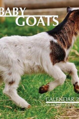 Cover of Baby Goats Calendar 2017