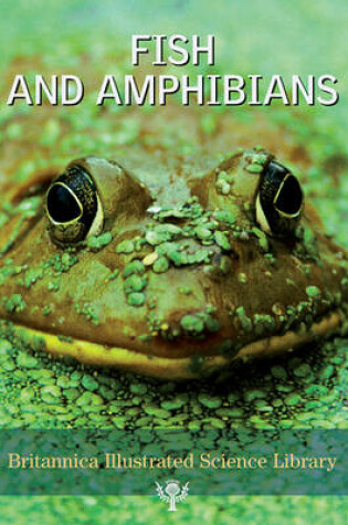 Cover of Fish and Amphibians