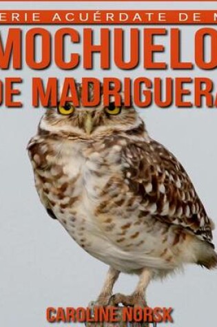 Cover of Mochuelo de madriguera