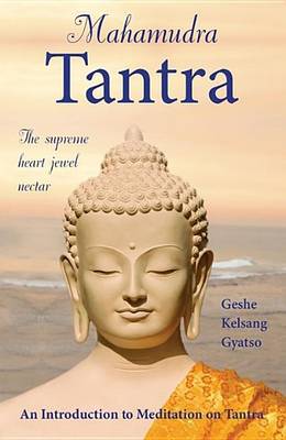 Book cover for Mahamudra Tantra