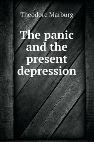 Cover of The panic and the present depression