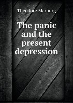 Book cover for The panic and the present depression