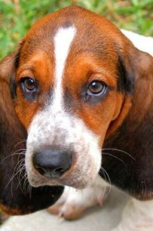 Cover of Huggable Bassett Hound Puppy Dog Journal