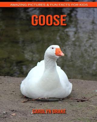 Book cover for Goose