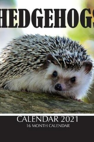 Cover of Hedgehogs Calendar 2021