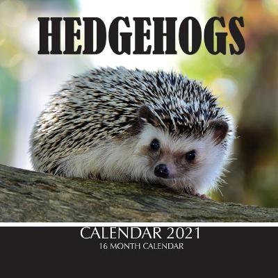 Book cover for Hedgehogs Calendar 2021