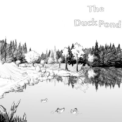 Book cover for The Duck Pond