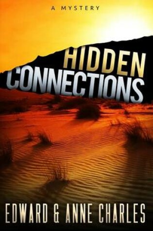 Cover of Hidden Connections