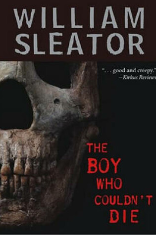 Cover of The Boy Who Couldn't Die