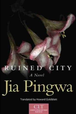 Cover of Ruined City