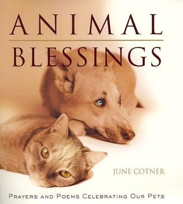 Book cover for Animal Blessings