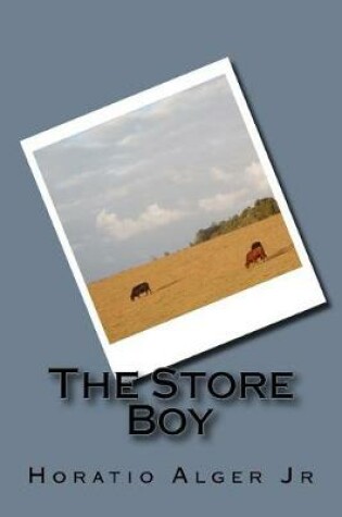Cover of The Store Boy