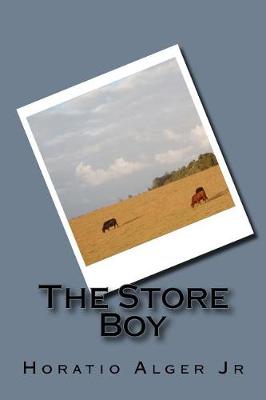 Book cover for The Store Boy