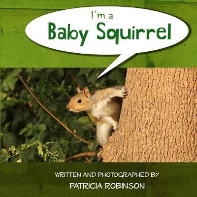 Book cover for I'm a Baby Squirrel