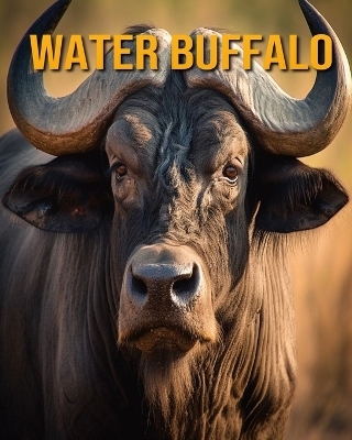 Book cover for Water Buffalo