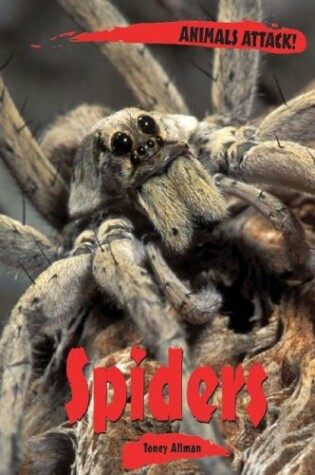 Cover of Spiders