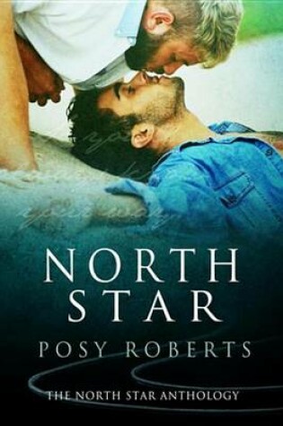 Cover of North Star