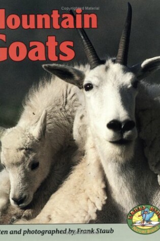 Cover of Mountain Goats