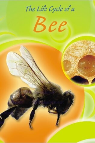 Cover of The Life Cycle of a Bee