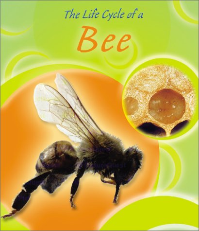 Cover of The Life Cycle of a Bee