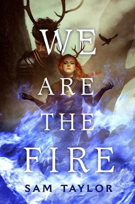 Book cover for We Are the Fire