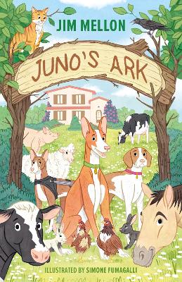 Book cover for Juno's Ark