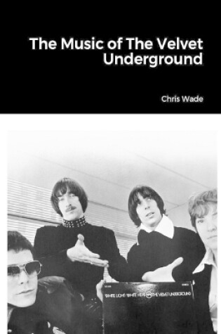 Cover of The Music of the Velvet Underground