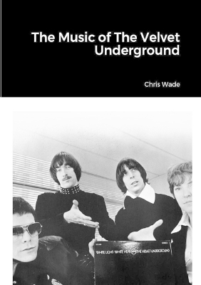 Book cover for The Music of the Velvet Underground