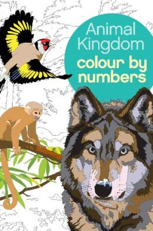 Cover of Animal Kingdom Colour by Numbers