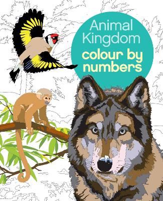 Cover of Animal Kingdom Colour by Numbers