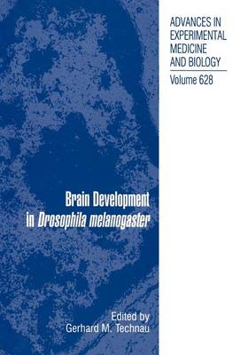 Book cover for Brain Development in Drosophila Melanogaster