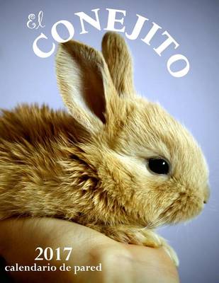 Book cover for El Conejito 2017 Calendario de Pared (Edicion Espana)