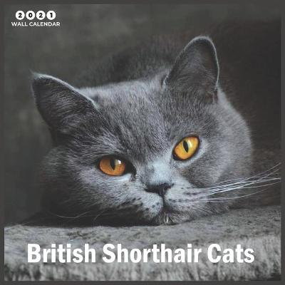 Book cover for British Shorthair Cats 2021 Wall Calendar