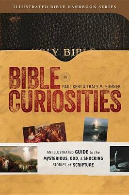 Book cover for Bible Curiosities