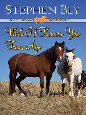 Book cover for Wish I'd Known You Tears Ago