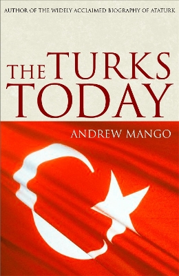 Book cover for The Turks Today