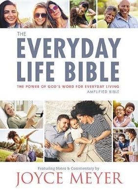 Book cover for The Everyday Life Bible