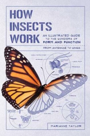 Cover of How Insects Work