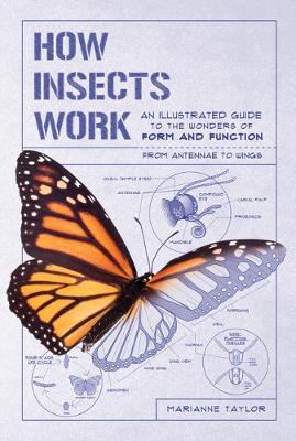 Book cover for How Insects Work