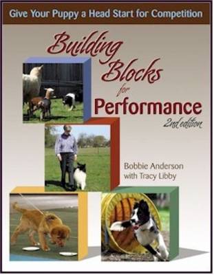 Book cover for Building Blocks for Performance