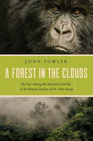 Cover of A Forest in the Clouds