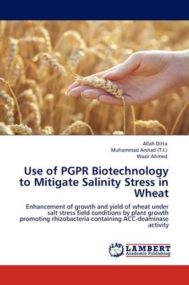 Book cover for Use of PGPR Biotechnology to Mitigate Salinity Stress in Wheat