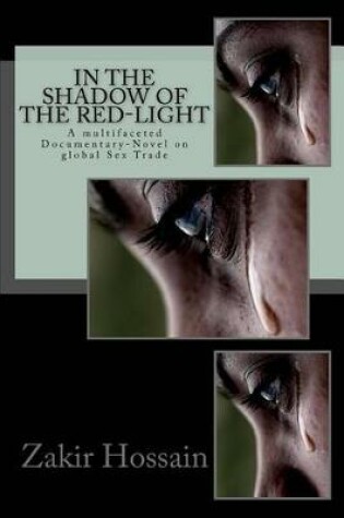 Cover of In the shadow of the red-light