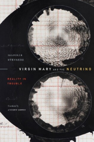 Cover of Virgin Mary and the Neutrino