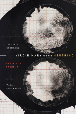 Cover of Virgin Mary and the Neutrino